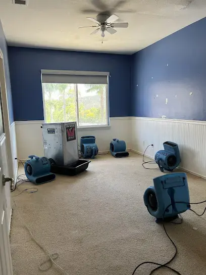 Blue air movers and a dehumidifier running in an emptied carpeted bedroom