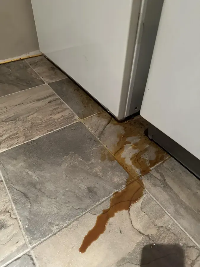 Water running out from under a refrigerator across a tile floor