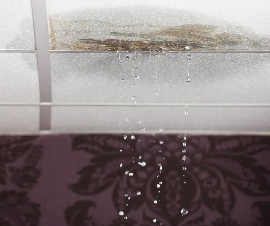 Rainwater dripping from a stained ceiling below a roof leak