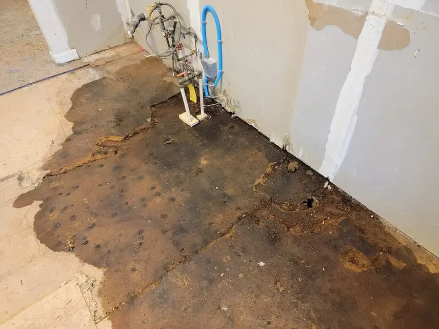 Wet concrete slab and stained subfloor exposed after a slab leak in a Santee home