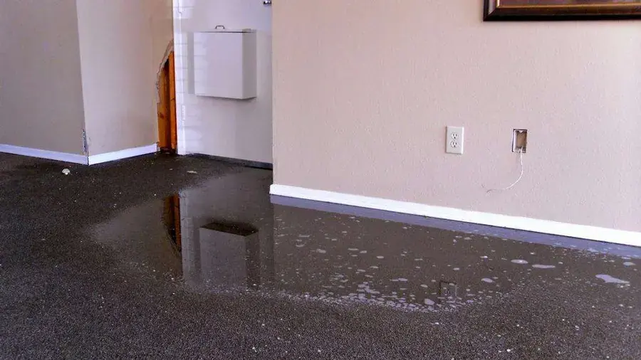 Standing water soaking a carpeted room before extraction in Santee